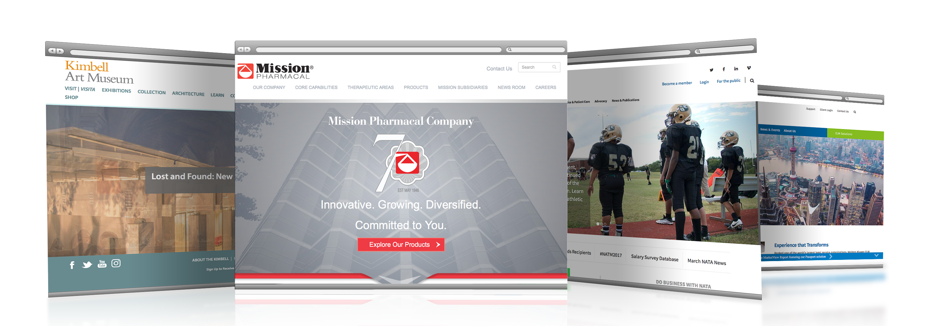 current clients website design and development