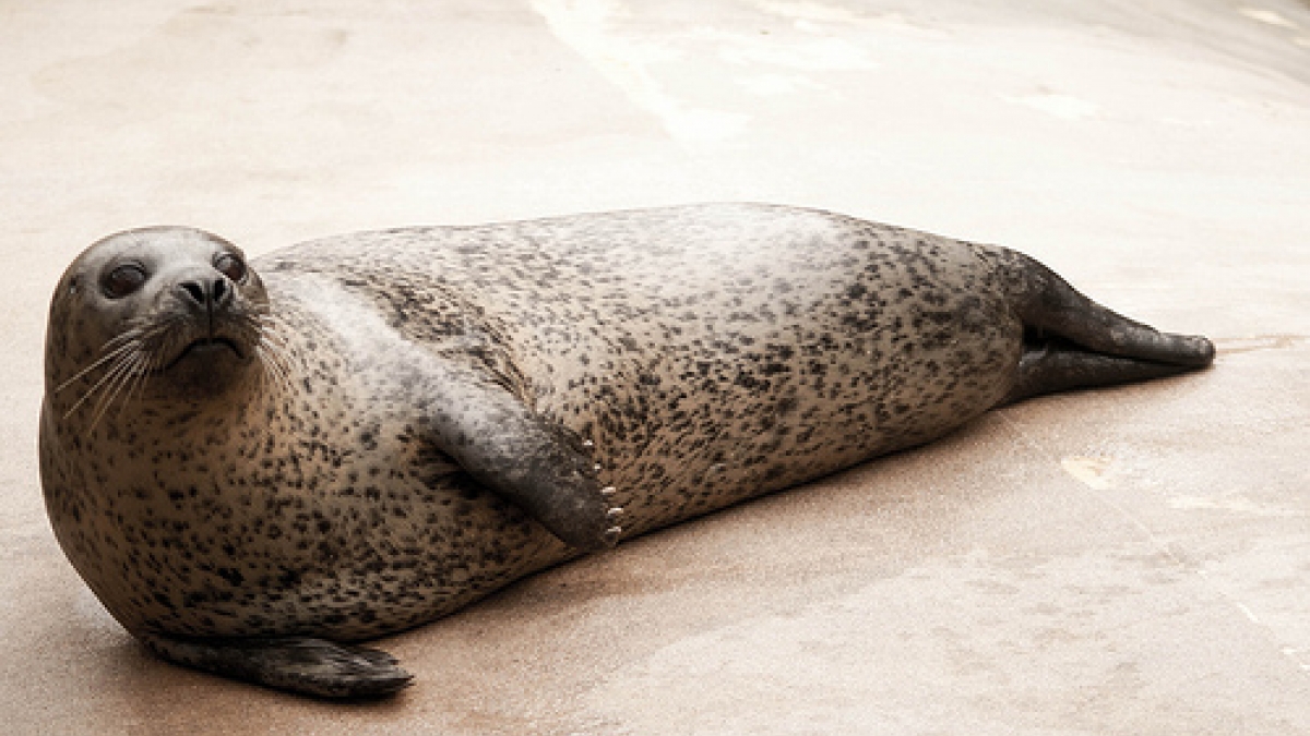 Tips for a Relaxing Weekend 6077187383 27f087e726 z