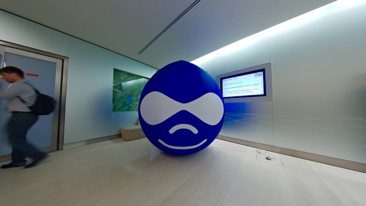 Inflatable Drupal mascot