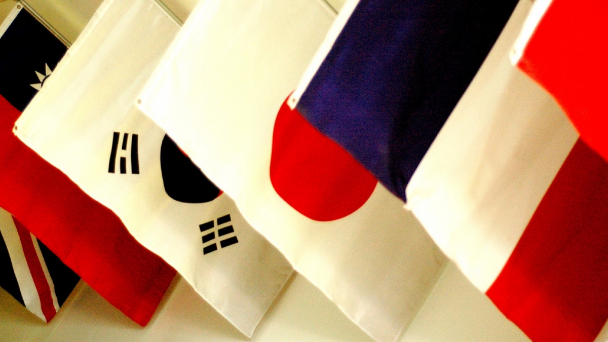 Lessons Learned from 3 Drupal Multilingual Projects flags 0