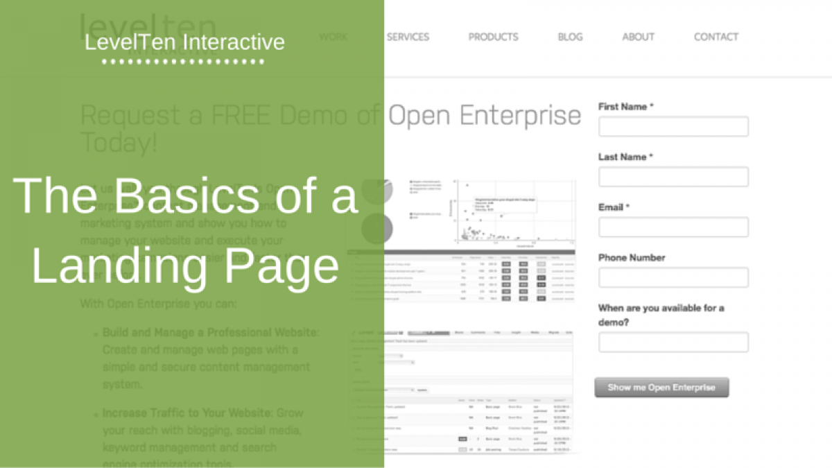 The Basics of a Landing Page landing page