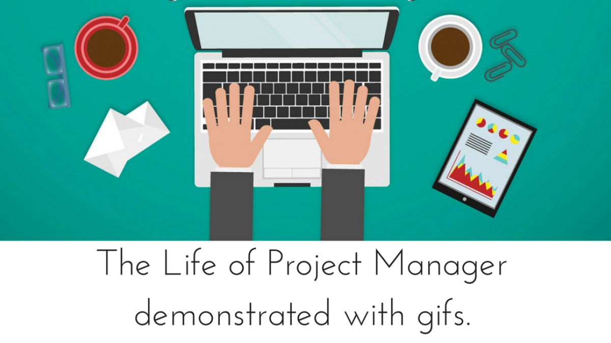 The Daily Life of a Project Manager Demonstrated in Gifs project manager