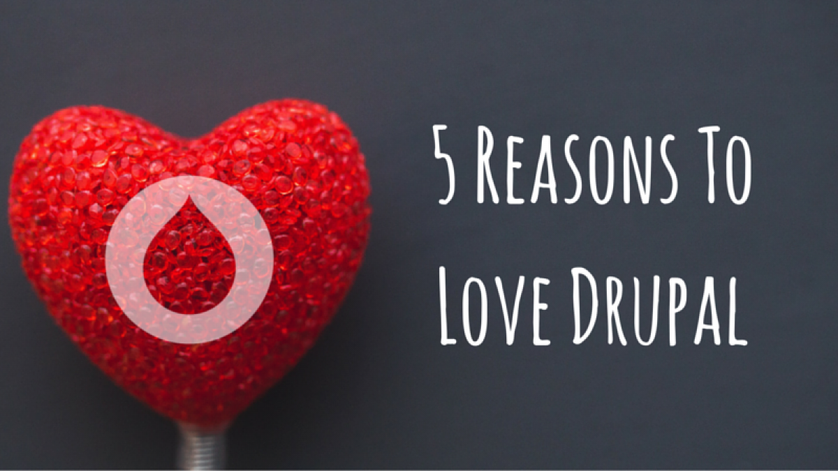 reasons to love drupal 