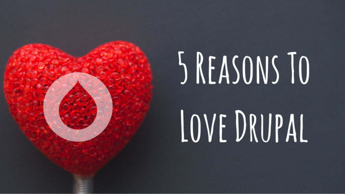 5 Reasons Everyone Loves Drupal reasons to love drupal