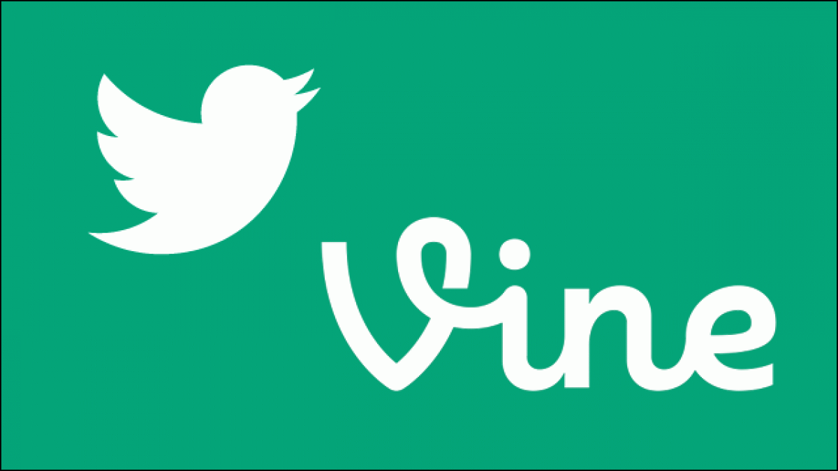 vine twitter