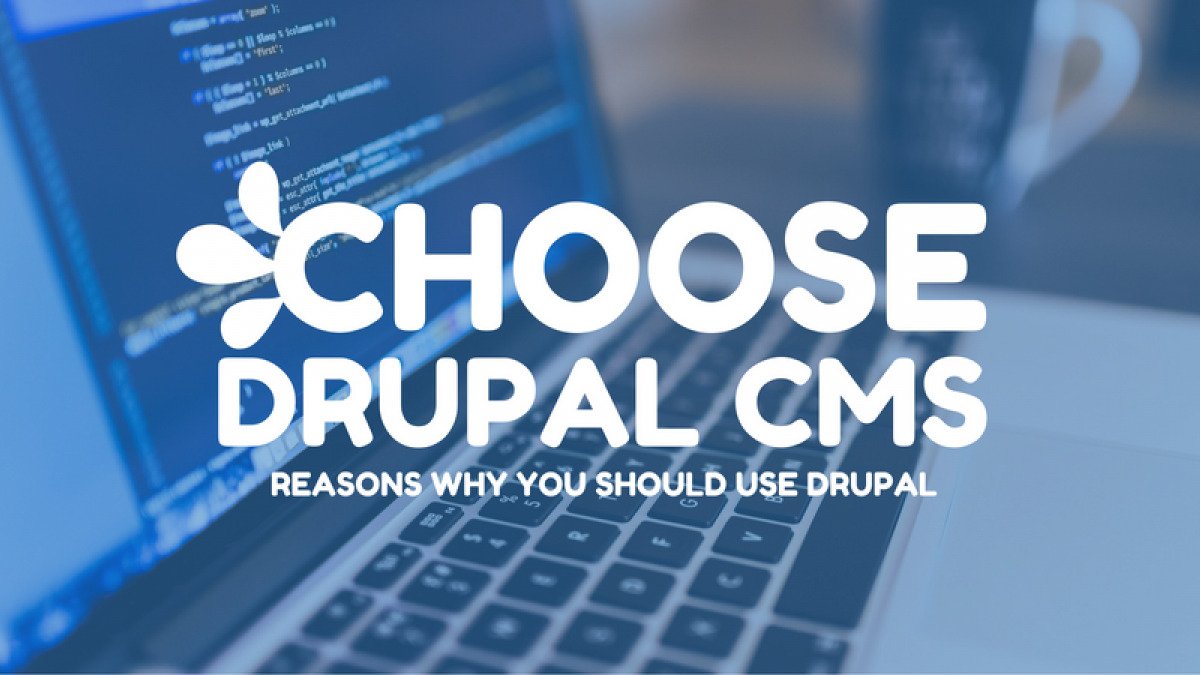 choose drupal