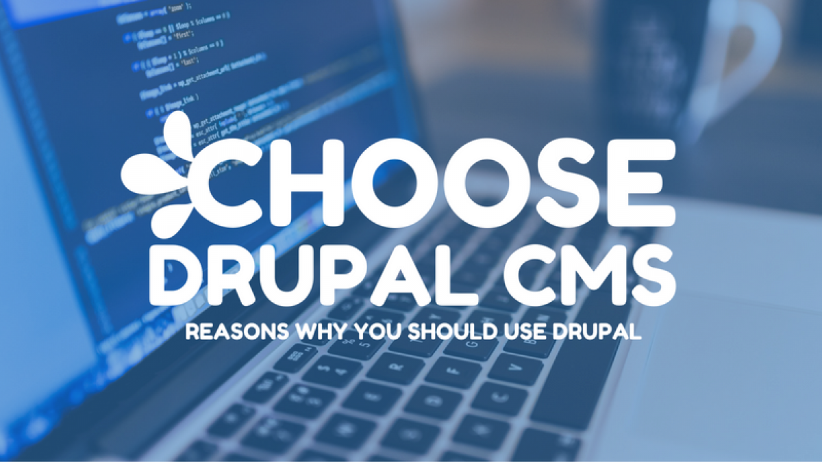 Why You Should Be Using Drupal for Your Website choose drupal