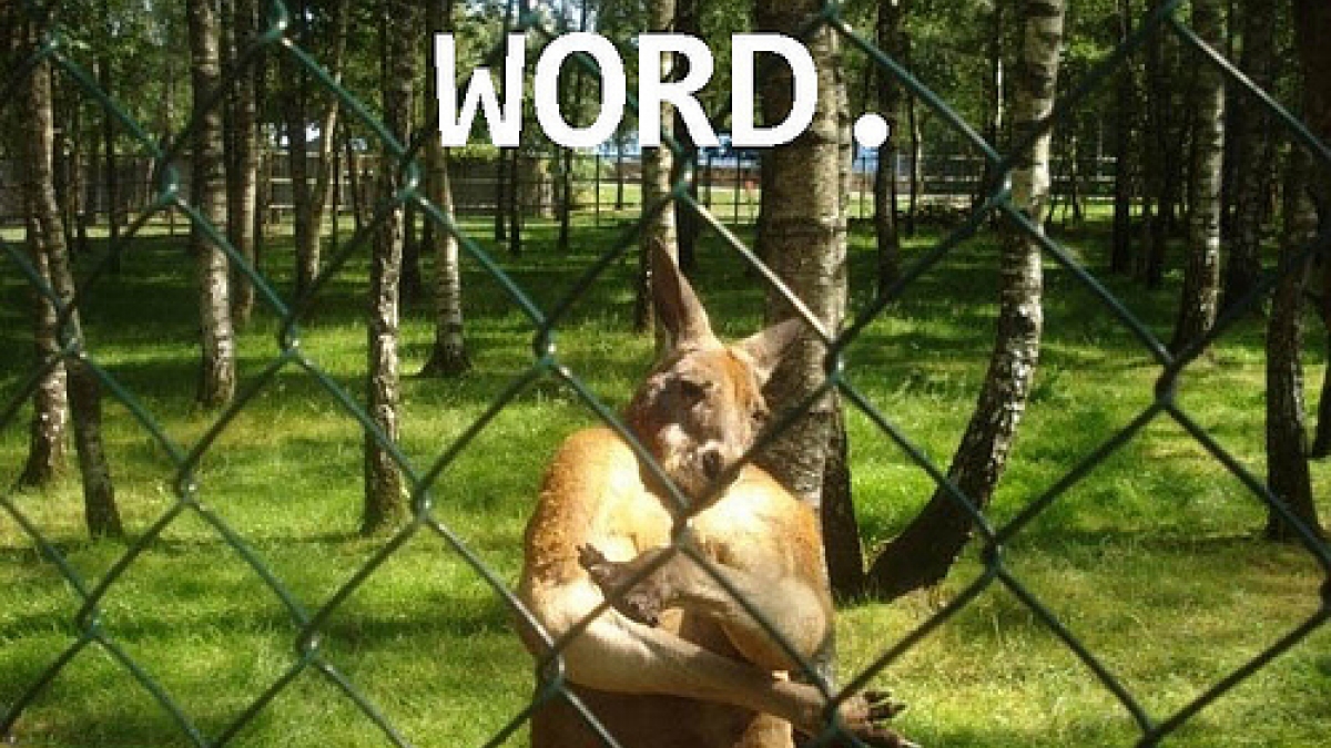 Basic Lingo for Drupal Newbies word