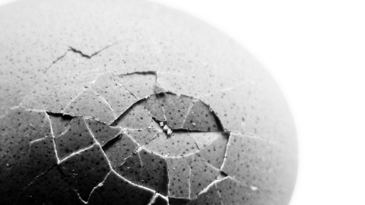 The Web industry is broken 3438020366 ccbc1f4114 b