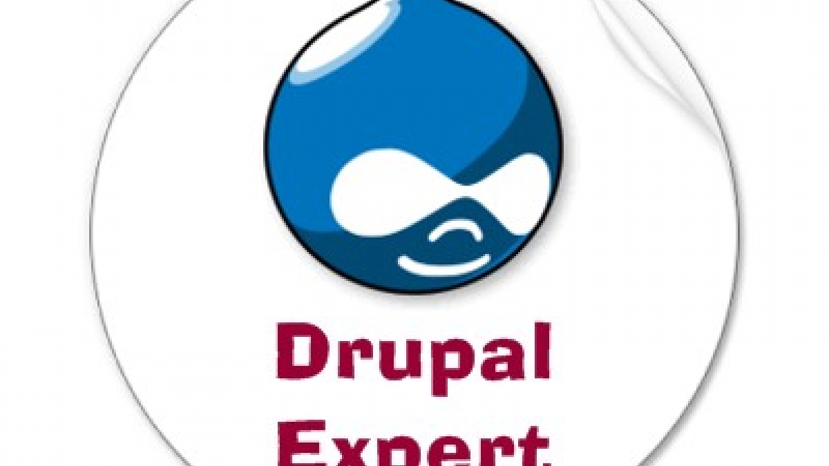 drupal development expert