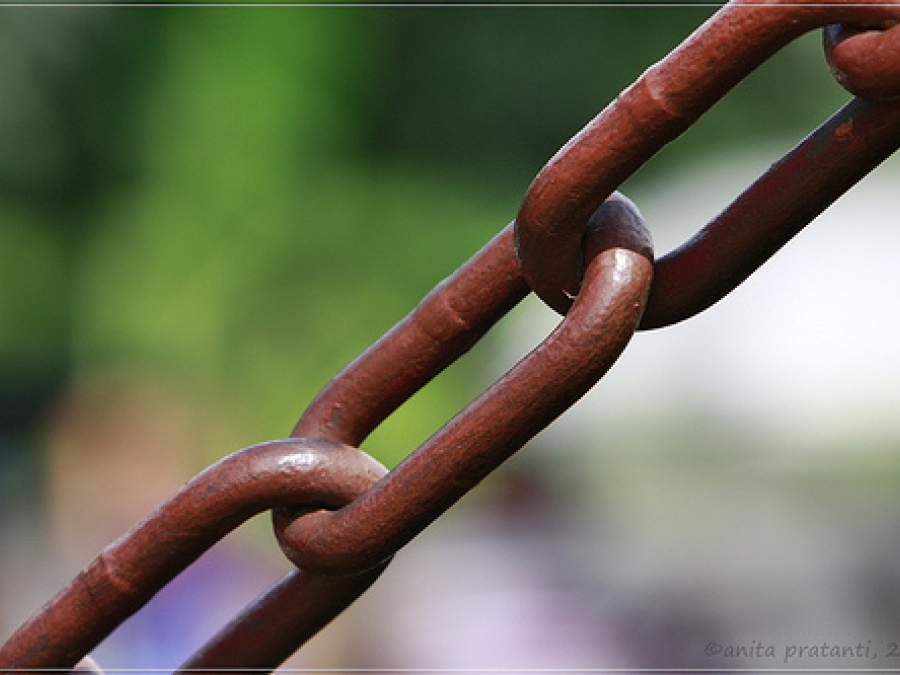 Web Words Explained: Search Engine Optimization